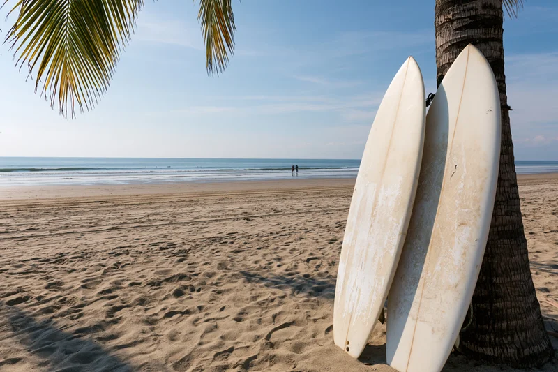 Three surfboards leaning against a palm tree on a sandy beach near the ocean