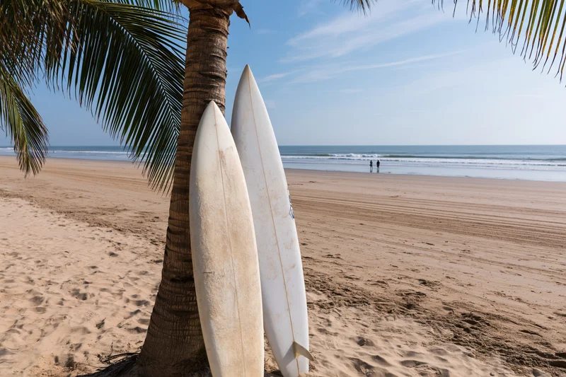 Two white surfboards leaning against a palm tree on a sandy beach near the ocean