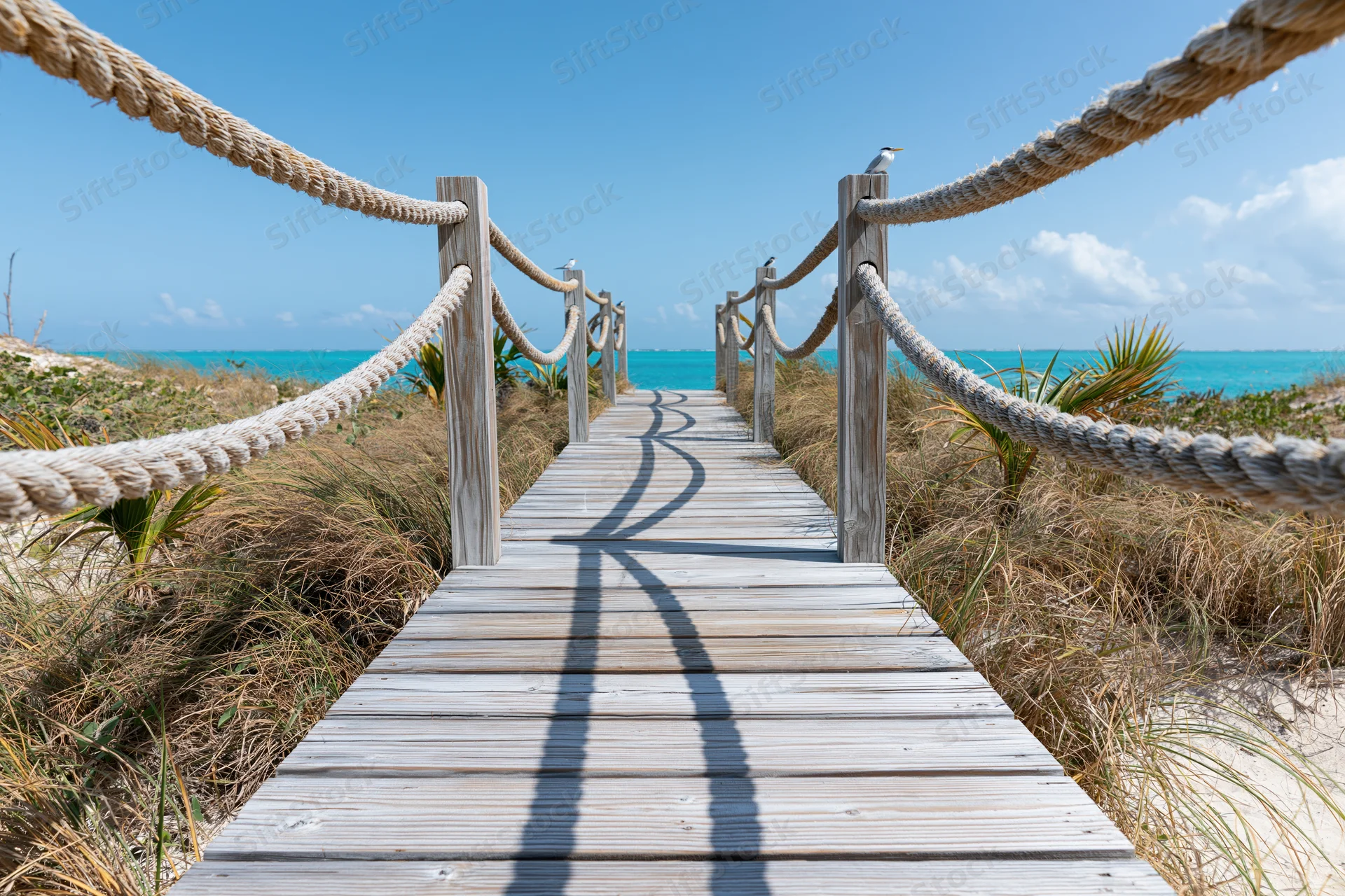 Wooden boardwalk with rope railings leading to turquoise ocean along sandy dunes