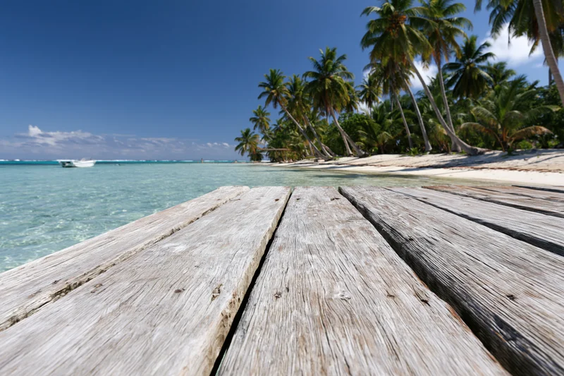 Weathered wooden dock leading to a tropical beach with palm trees and turquoise ocean under a clear blue sky