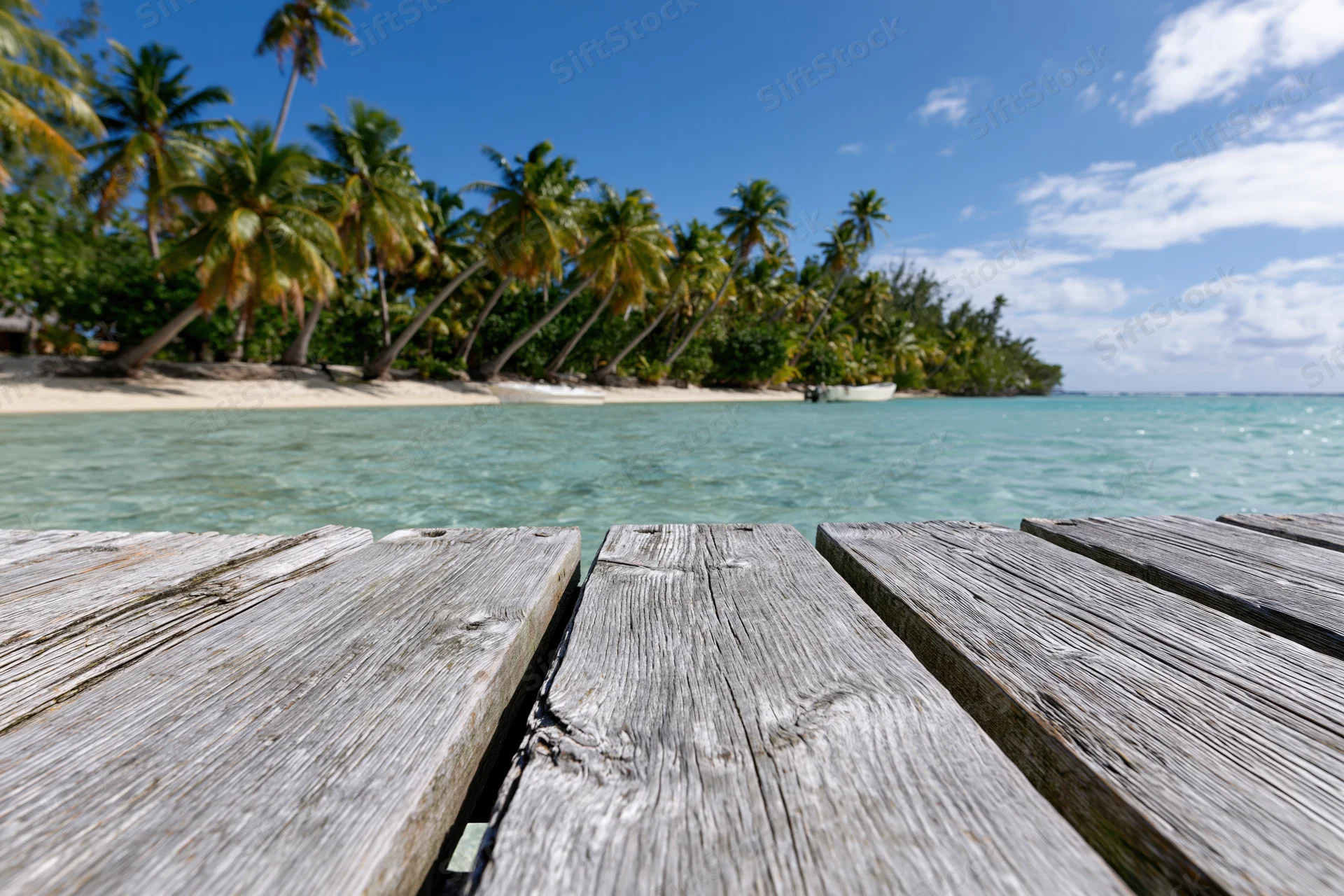 Weathered wooden dock planks leading to a tropical beach with palm trees and turquoise ocean under a blue sky