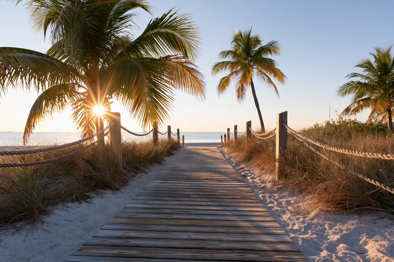 Wooden boardwalk leading to beach at sunset with palm trees and ocean view