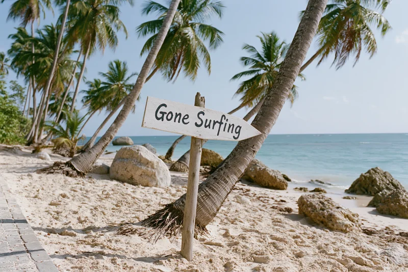 Wooden sign reading gone surfing on sandy beach with palm trees and ocean in background