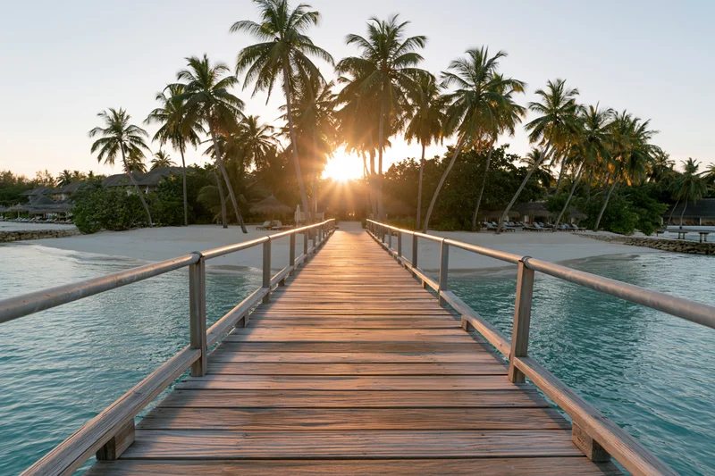 Wooden pier extending over turquoise water toward palm trees at sunset on a tropical beach