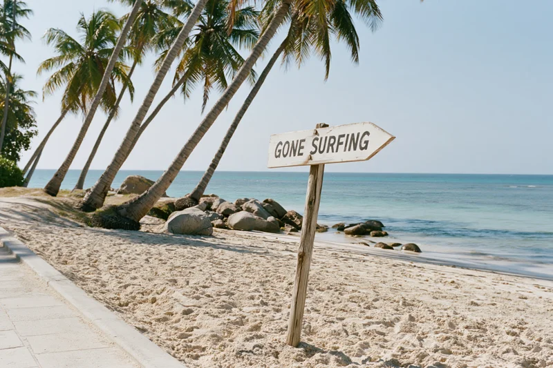 Wooden sign reading gone surfing on sandy beach with palm trees and ocean in background