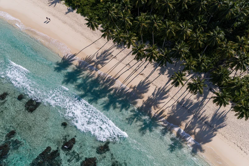 Aerial view of tropical beach with palm trees and turquoise ocean waves