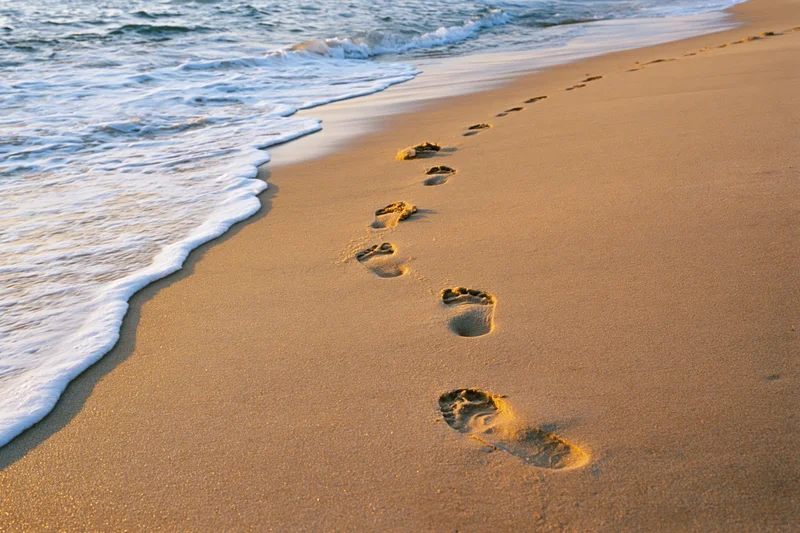 Footprints in the sand along the shoreline at sunset