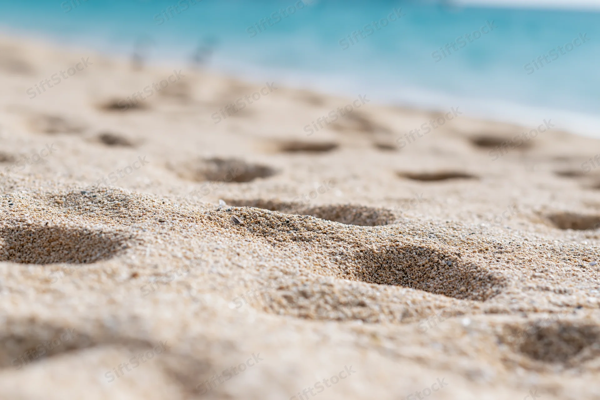 Footprints in the sand along a beach with ocean in the background