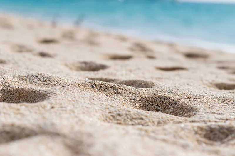 Footprints in the sand along a beach with ocean in the background