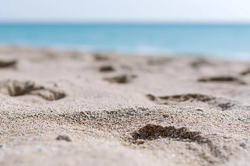 Footprints in wet sand along a beach with ocean in background
