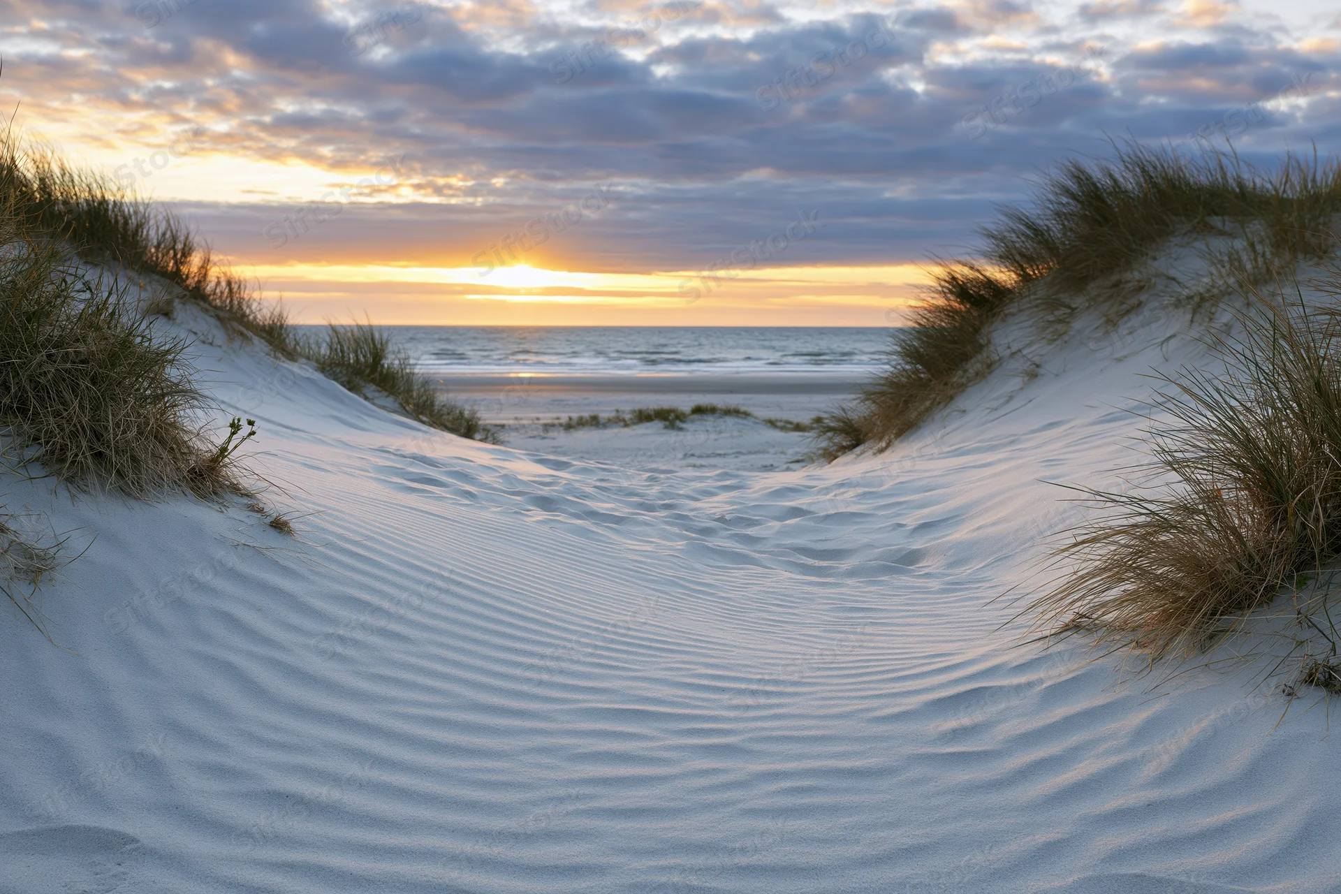 Sandy dunes with grass leading to ocean at sunset