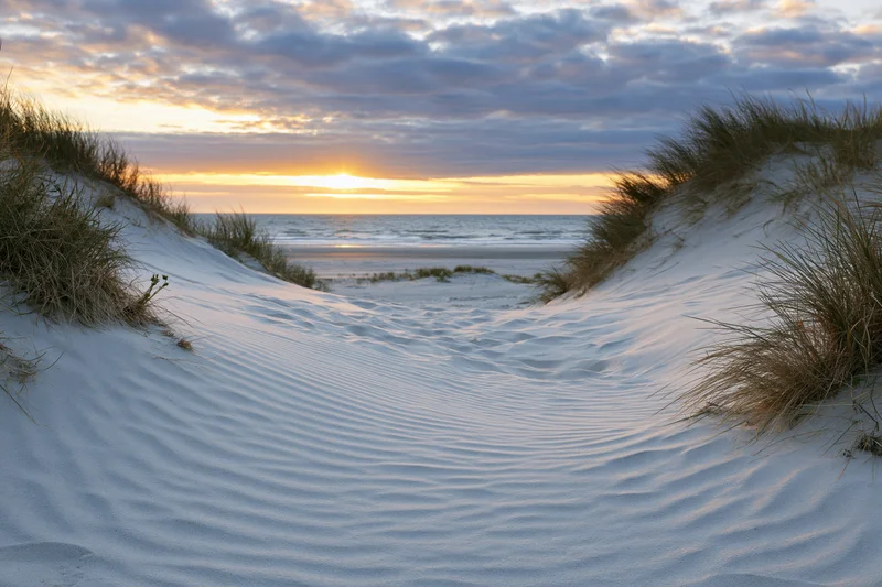 Sandy dunes with grass leading to ocean at sunset