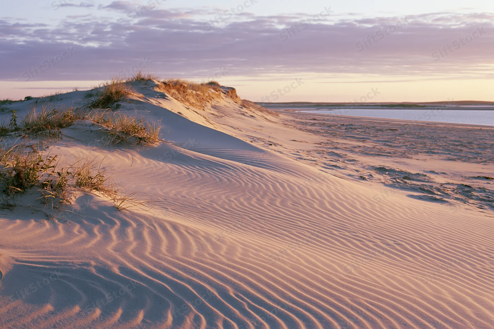 Wind-sculpted sand dunes with grass tufts along a calm shoreline at sunset
