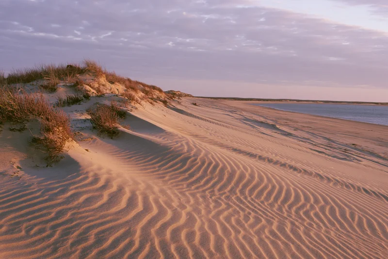 Rippled sand dunes along a quiet coastline at sunset with sparse vegetation and calm water in the distance