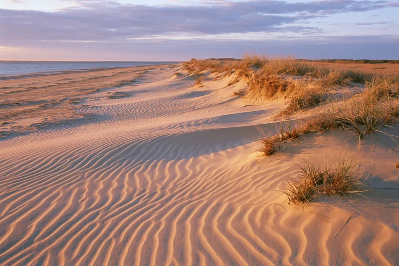 Rippled sand dunes along a quiet beach at sunset with sparse grass and ocean in the distance