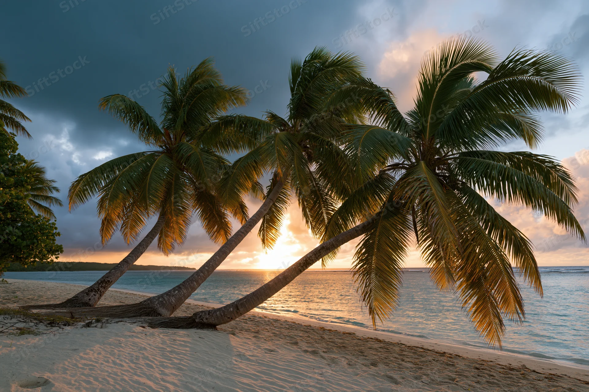 Palm trees leaning over sandy beach at sunset with ocean and cloudy sky