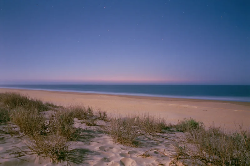 Starry night sky over a quiet beach with sand dunes and sparse grass at twilight