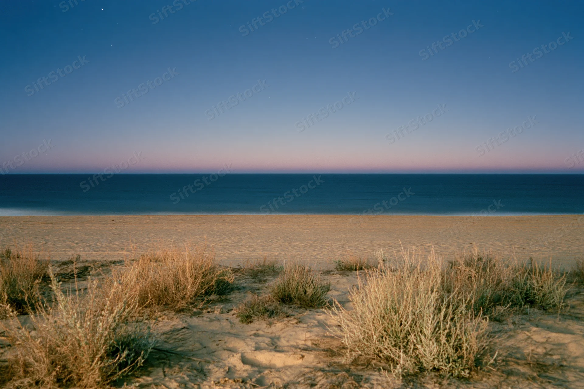 Empty beach at twilight with scattered grass under starry sky and calm ocean horizon