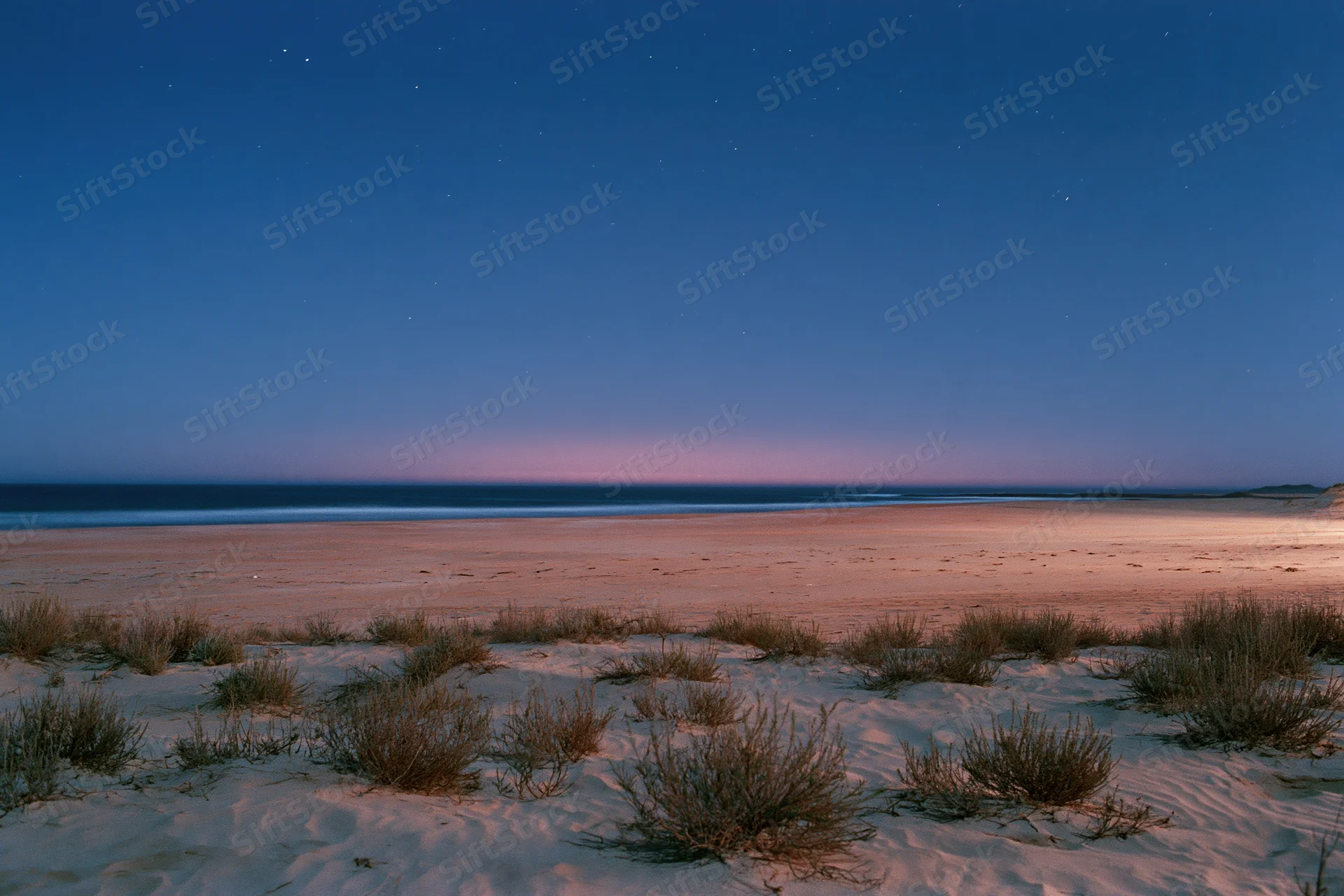 Starry night sky over a quiet beach with dunes and shrubs at twilight