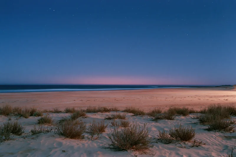 Starry night sky over a quiet beach with dunes and shrubs at twilight