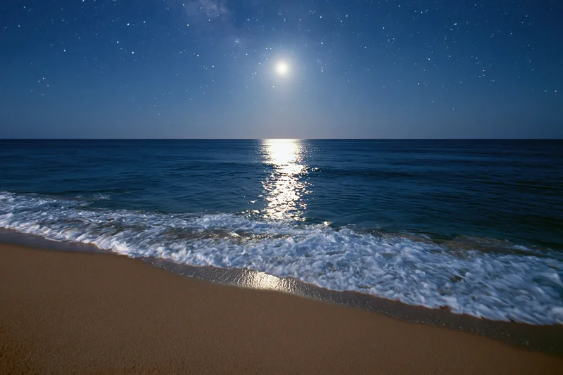Moonlit beach with waves rolling onto sand under starry night sky