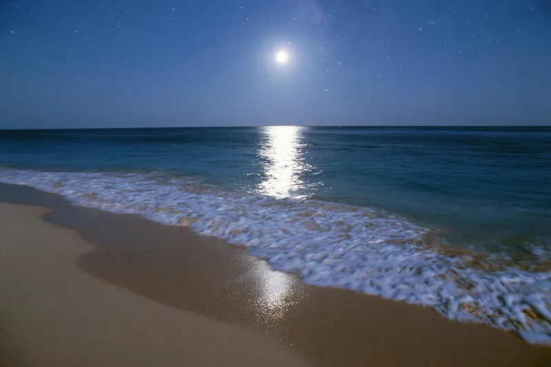 Moonlit beach with waves washing onto sand under starry night sky