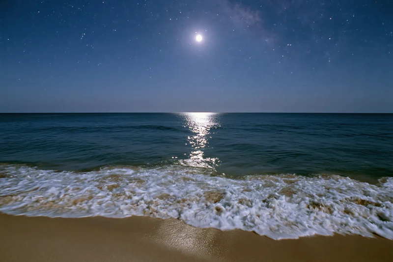 Moonlit ocean waves rolling onto sandy beach under starry night sky