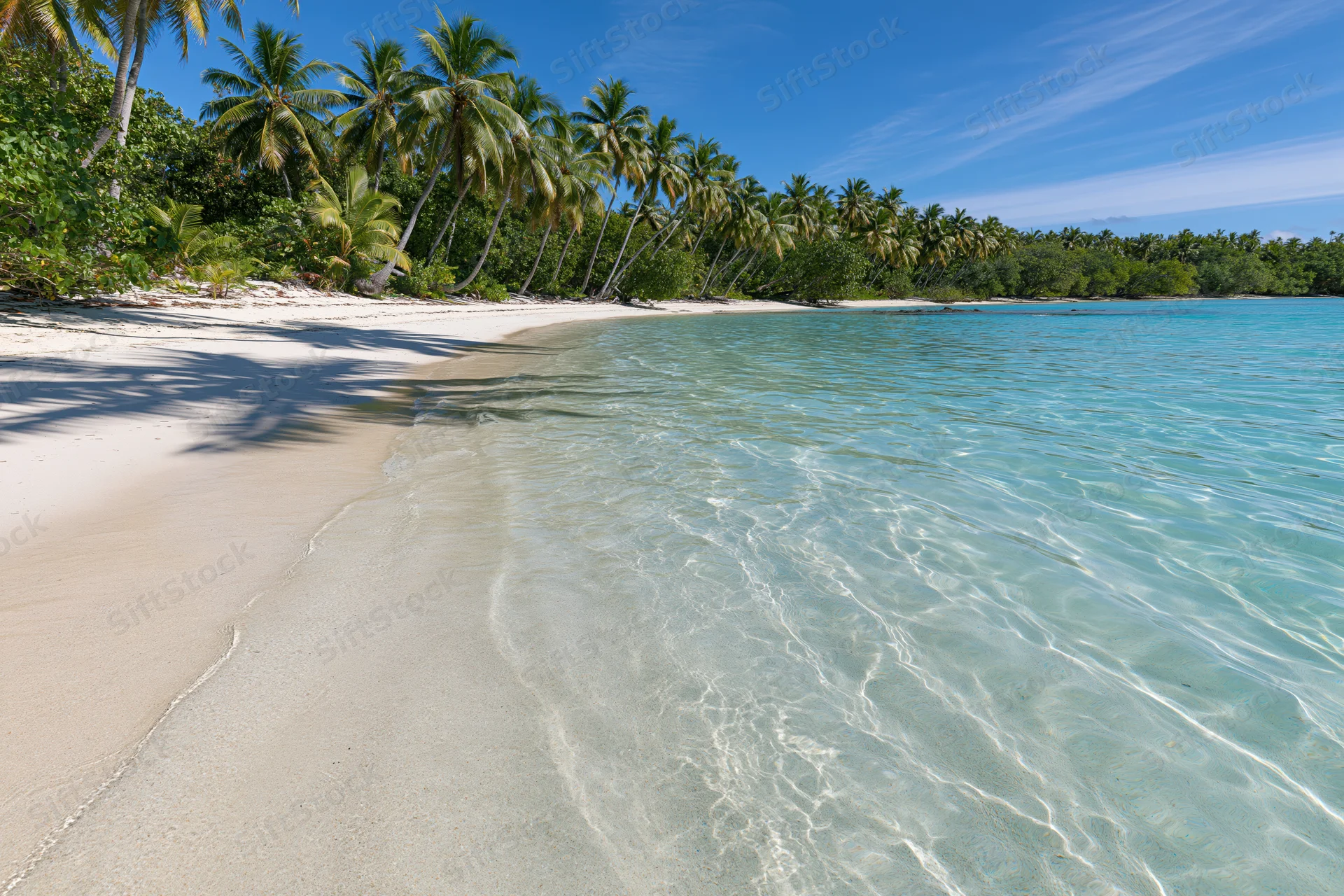 Clear turquoise water meeting white sand beach lined with palm trees under blue sky