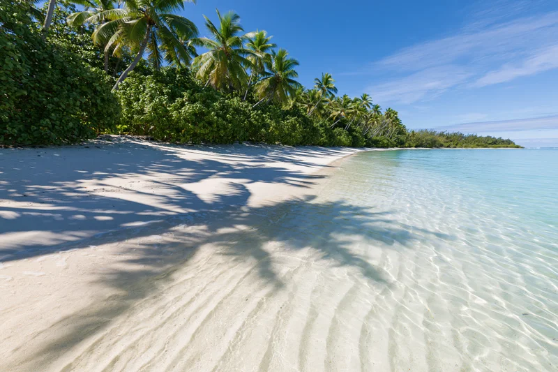 White sandy beach with palm trees casting shadows along the shoreline under a clear blue sky