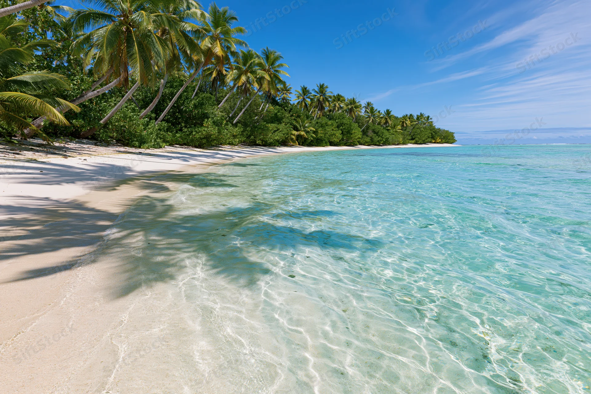 Clear turquoise water lapping onto a white sandy beach lined with palm trees under a blue sky
