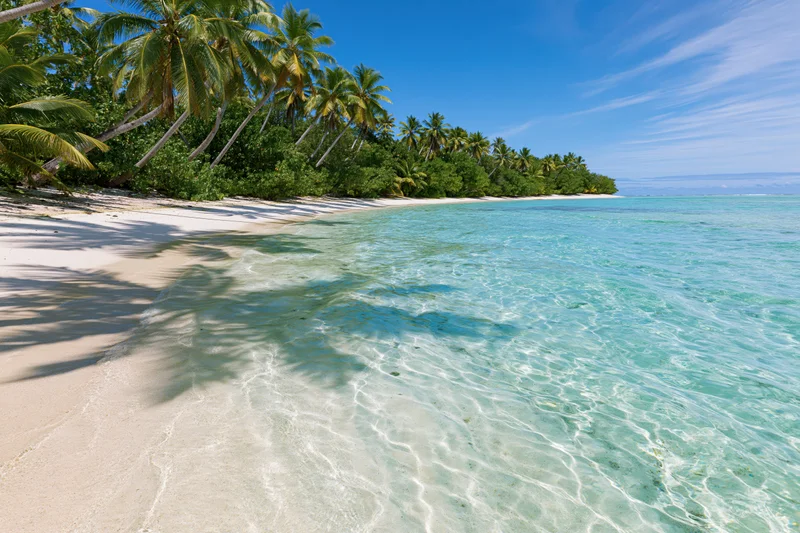 Clear turquoise water lapping onto a white sandy beach lined with palm trees under a blue sky