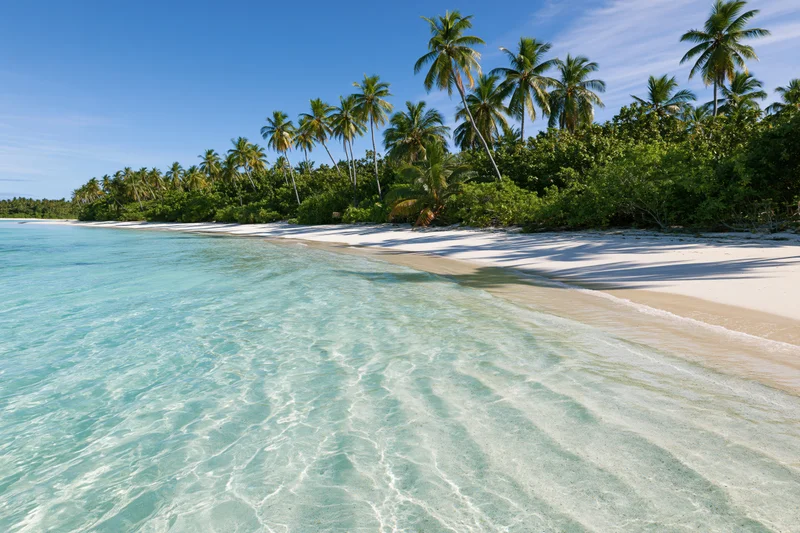 Turquoise ocean waves lapping onto white sand beach lined with palm trees under clear blue sky