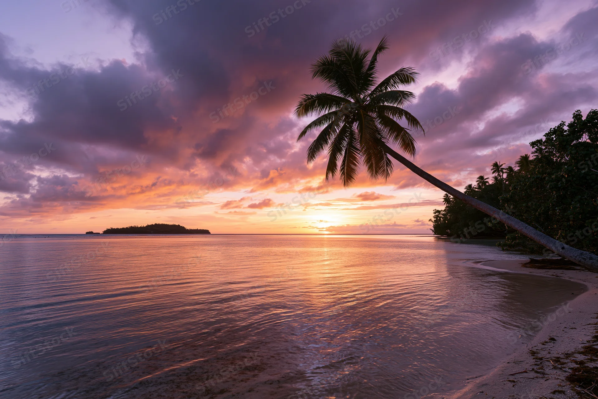 Sunset over tropical beach with palm tree leaning over calm ocean water