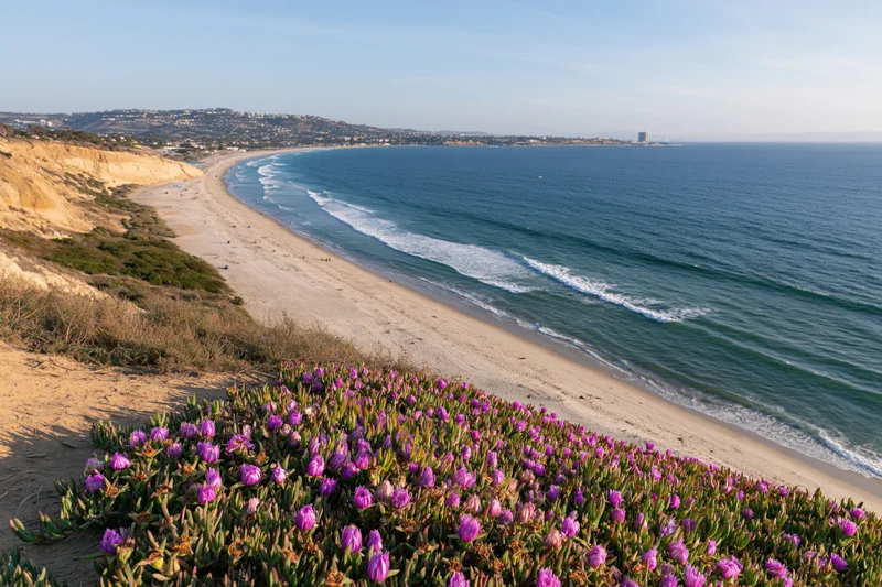 Purple flowers growing on a cliff overlooking a sandy beach and ocean waves