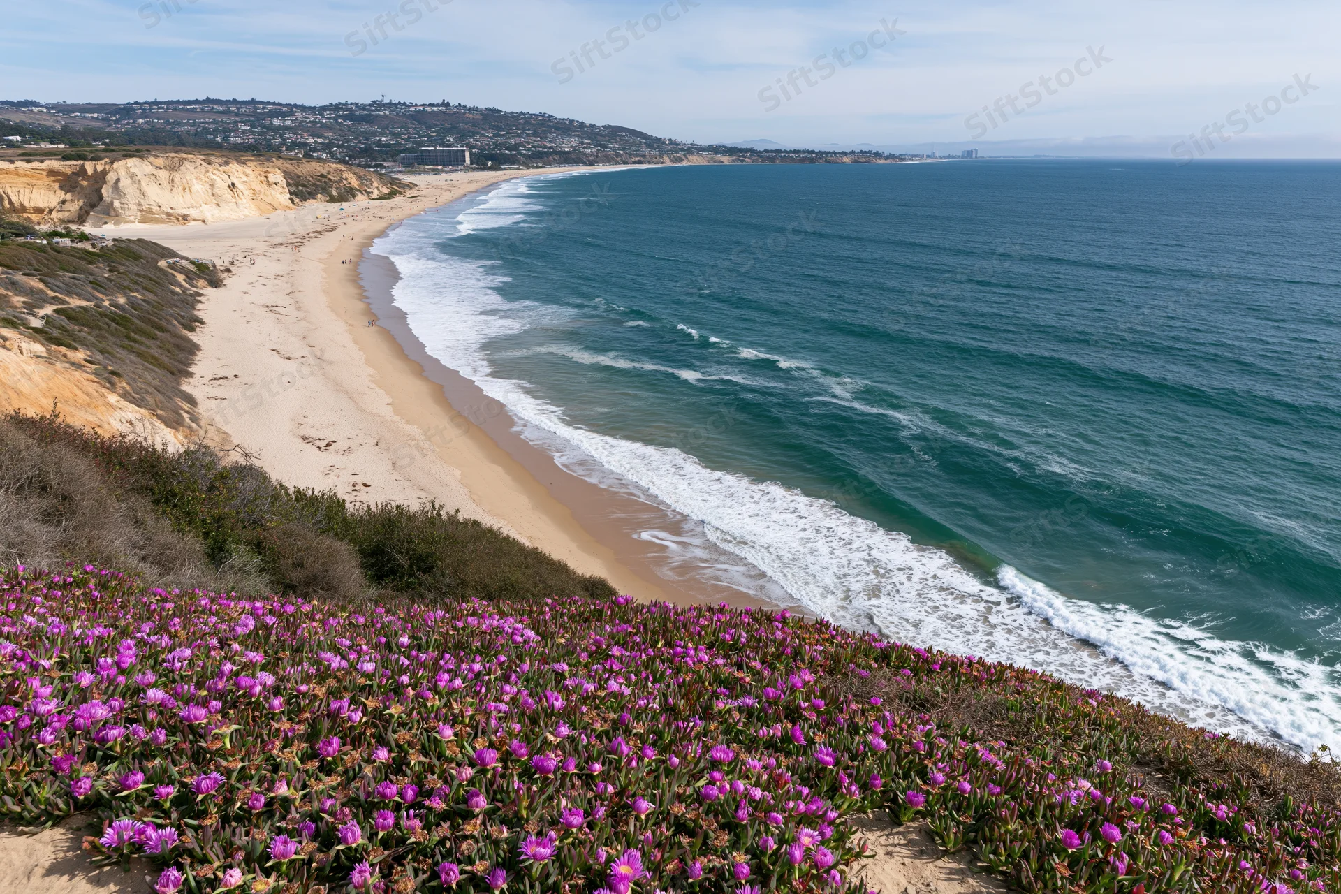Purple wildflowers blooming along a sandy beach with waves crashing at the shore under a clear blue sky