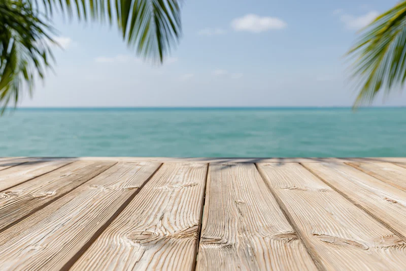 Wooden deck overlooking ocean with palm fronds framing the view