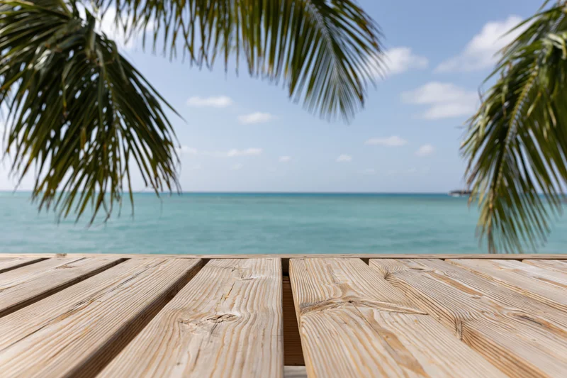 Wooden deck overlooking turquoise ocean under palm fronds at tropical beach