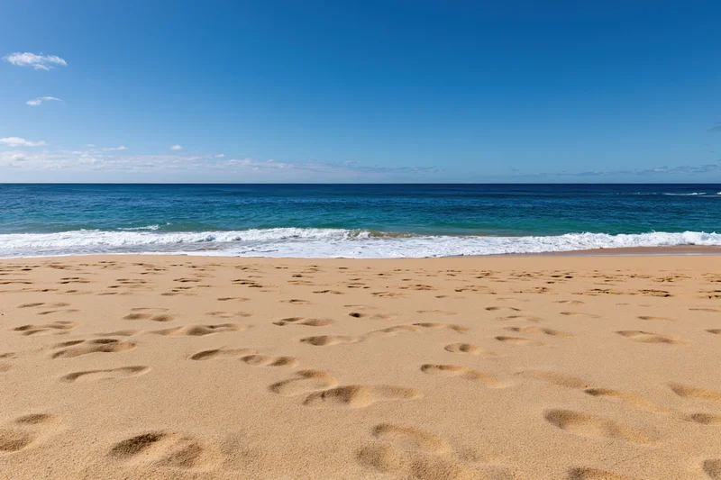 Footprints in the sand along a sunny beach with ocean waves and blue sky