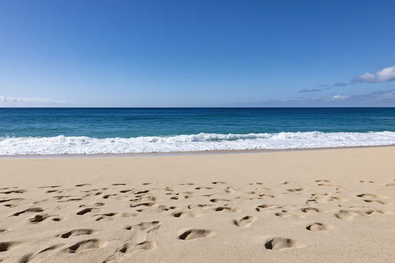 Footprints in the sand along a calm ocean shoreline under a clear blue sky