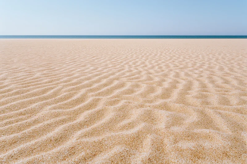 Rippled sand stretching to the ocean horizon under clear sky