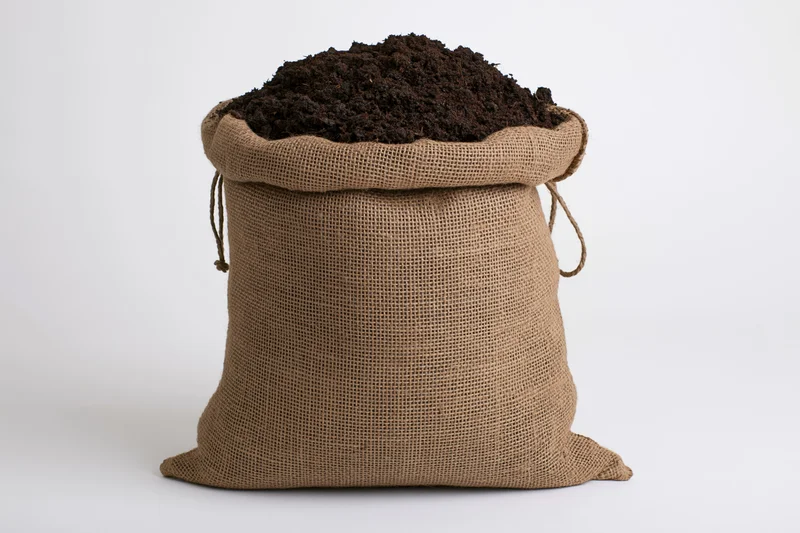 Burlap sack filled with dark brown compost on white background