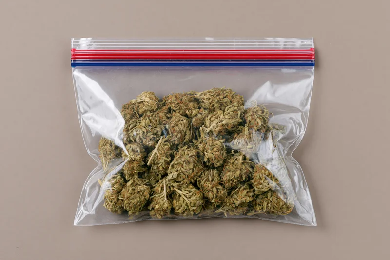 Dried cannabis buds in a transparent zip-lock plastic bag on beige background