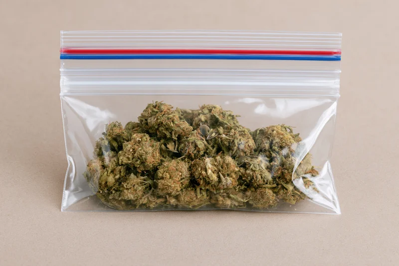 Dried cannabis buds in a clear zip-lock bag on a beige surface