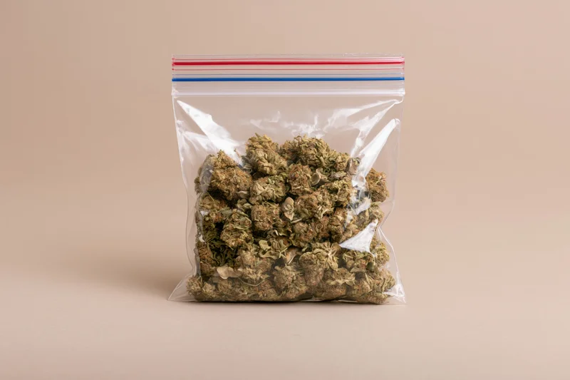 Dried cannabis buds in a clear resealable plastic bag on a beige surface