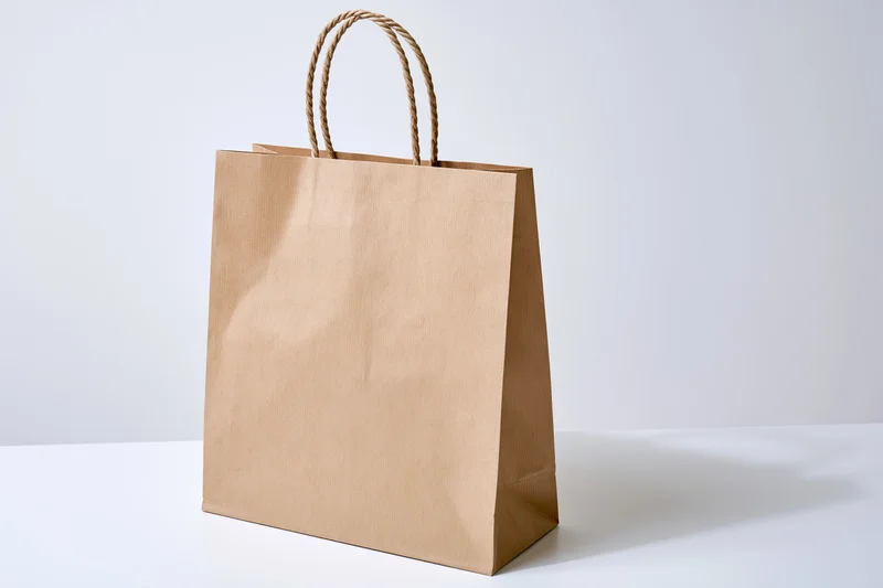 Kraft paper shopping bag with twisted rope handles standing upright on white surface