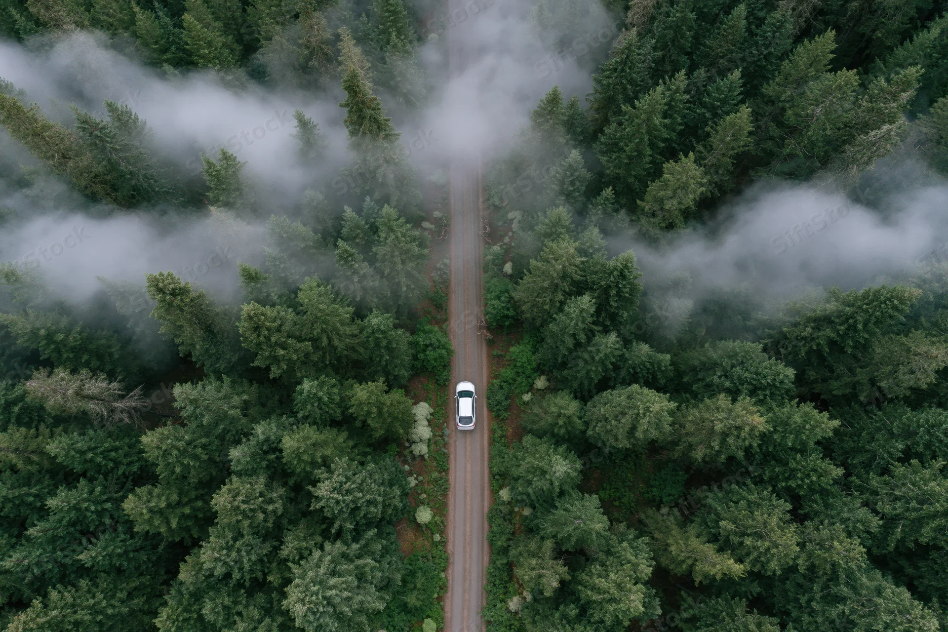 White car driving on narrow road through misty forest from aerial view