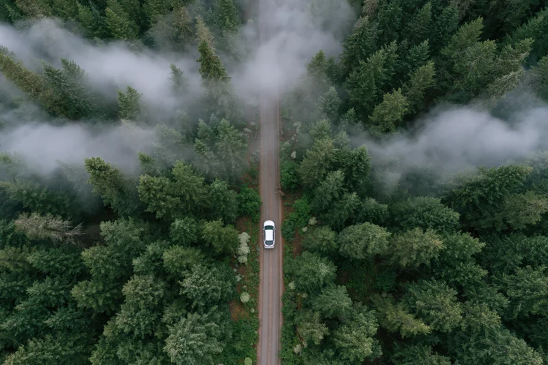 White car driving on narrow road through misty forest from aerial view