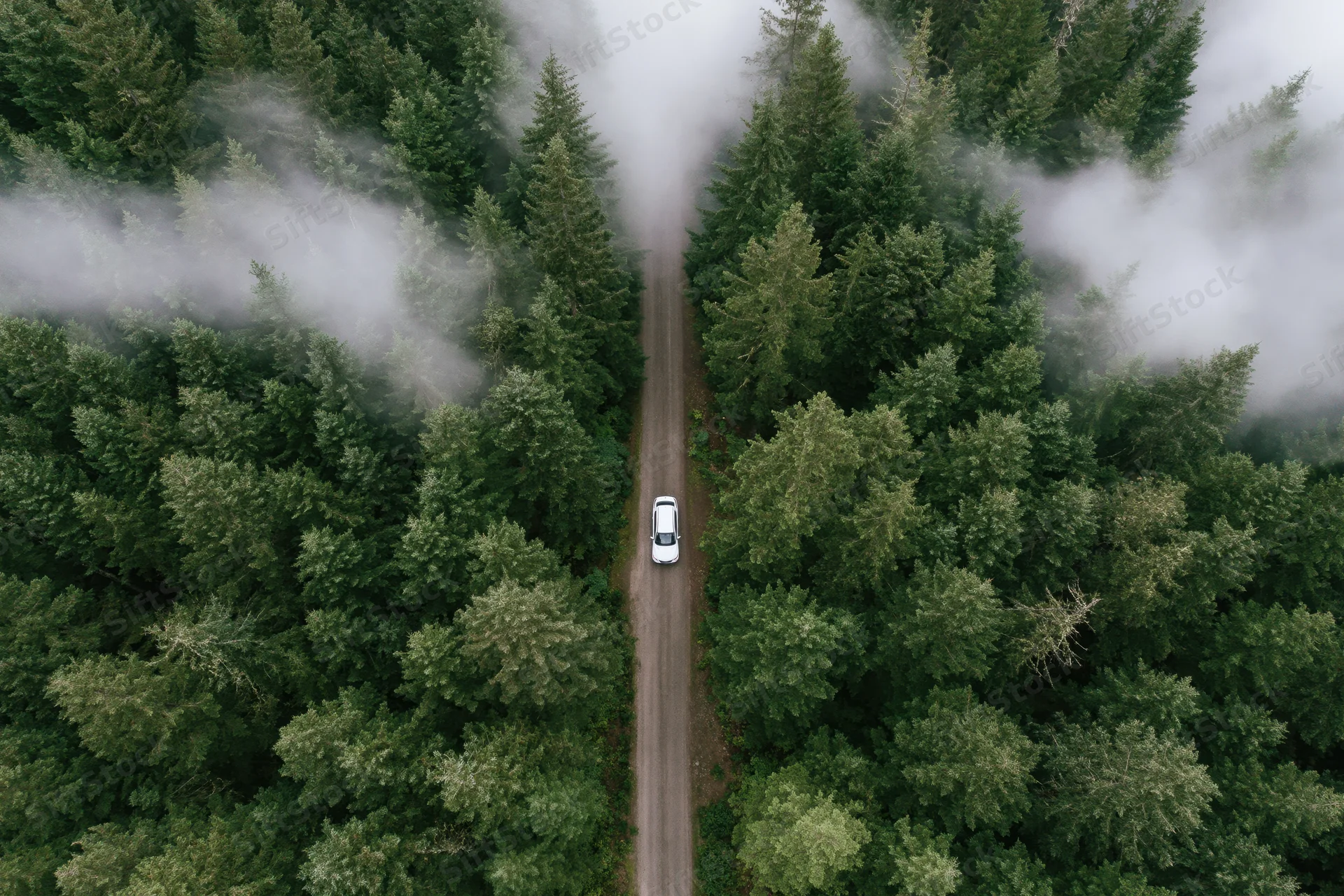 White car driving on narrow road through dense forest viewed from above with fog drifting among trees