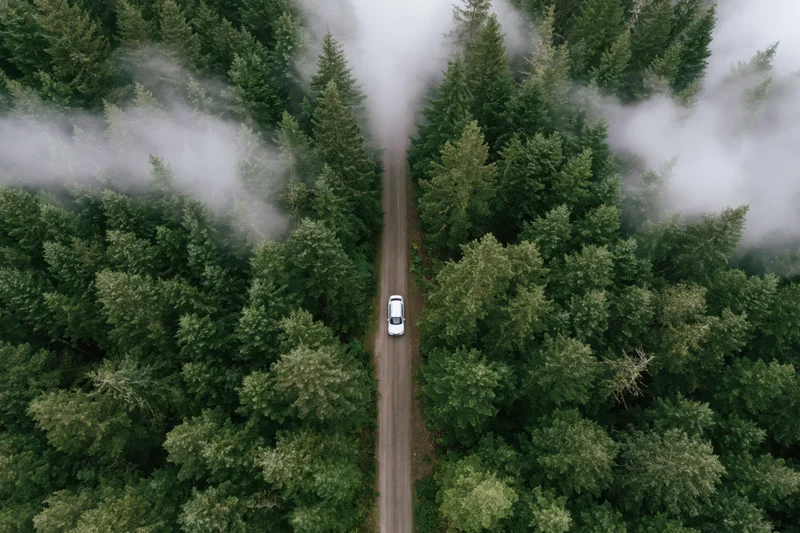 White car driving on narrow road through dense forest viewed from above with fog drifting among trees