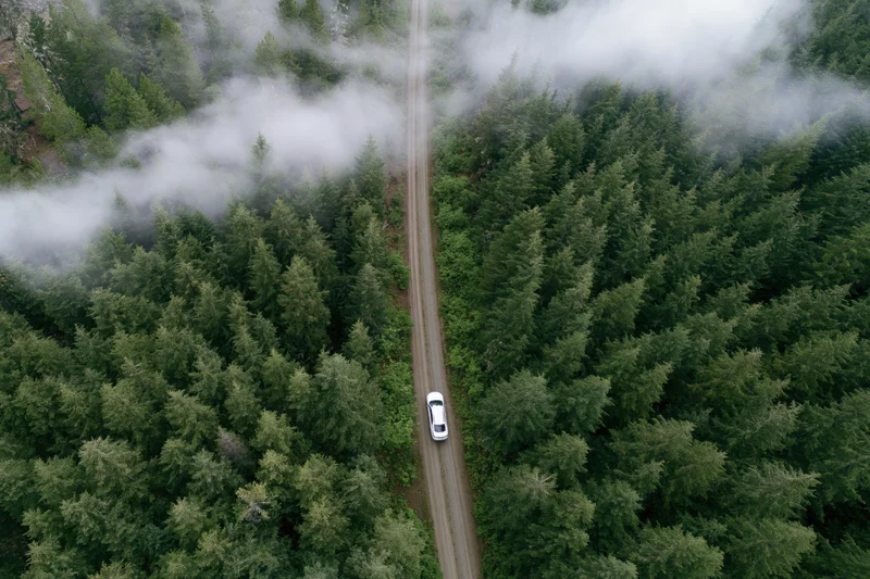 White car driving on dirt road through dense pine forest from aerial drone view above misty canopy